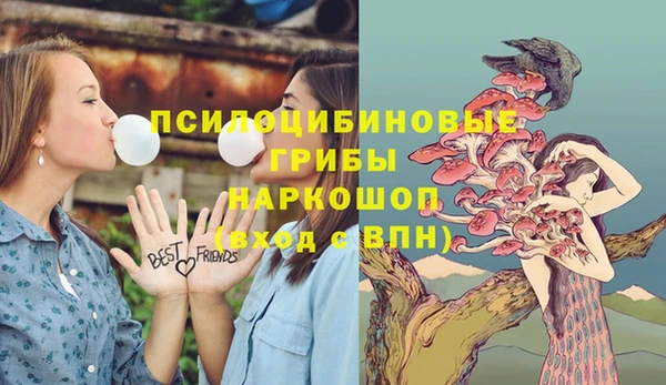 герыч Няндома