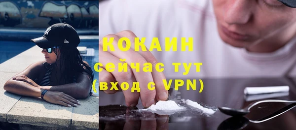 индика Гусев
