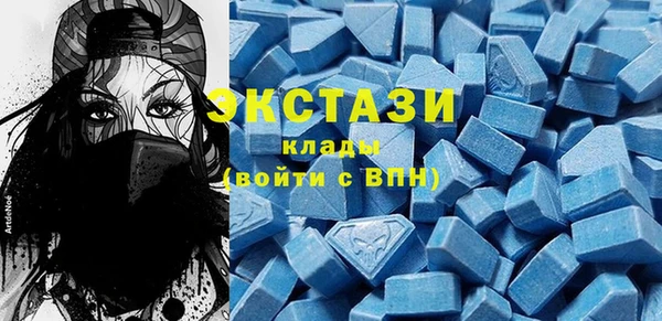 индика Гусев