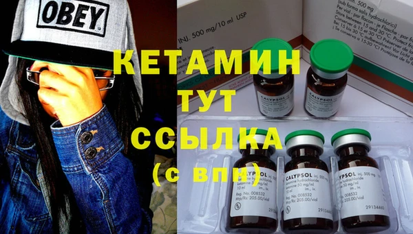 индика Гусев