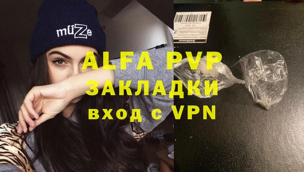 индика Гусев