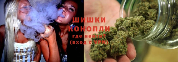 индика Гусев