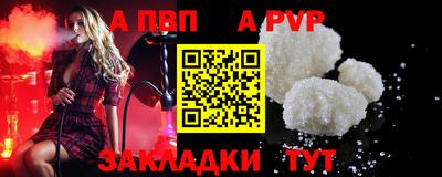 стаф Тула